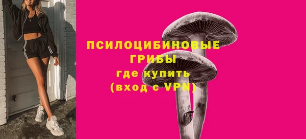 синтетический гашиш Горнозаводск