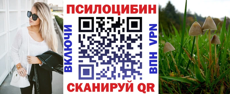 купить   Люберцы  Галлюциногенные грибы Psilocybe 